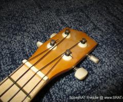 Soprano Ukulele pro začátečníky