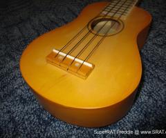 Soprano Ukulele pro začátečníky