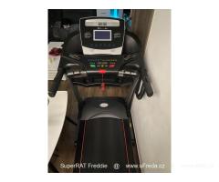 Běžecký pás inSPORTline Gilavar